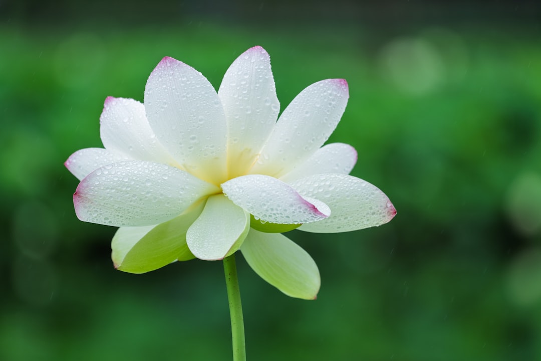 blog_8